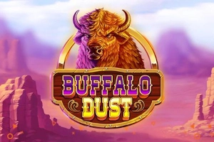 02028 buffalo dust