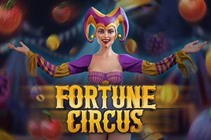 07341 fortune circus