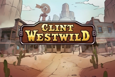 07667 clint westwild