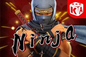 12011 ninja