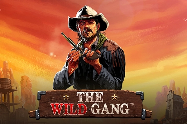 18477 the wild gang