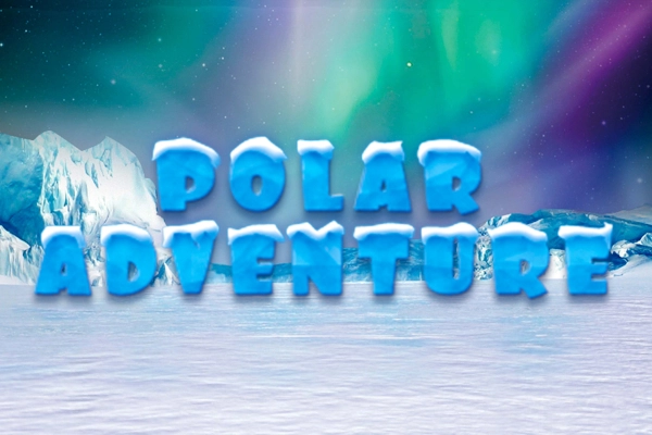 25380 polar adventure